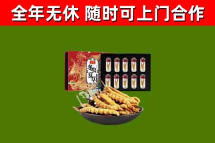 津南区回收冬虫夏草价格