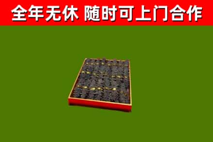 津南区回收海参